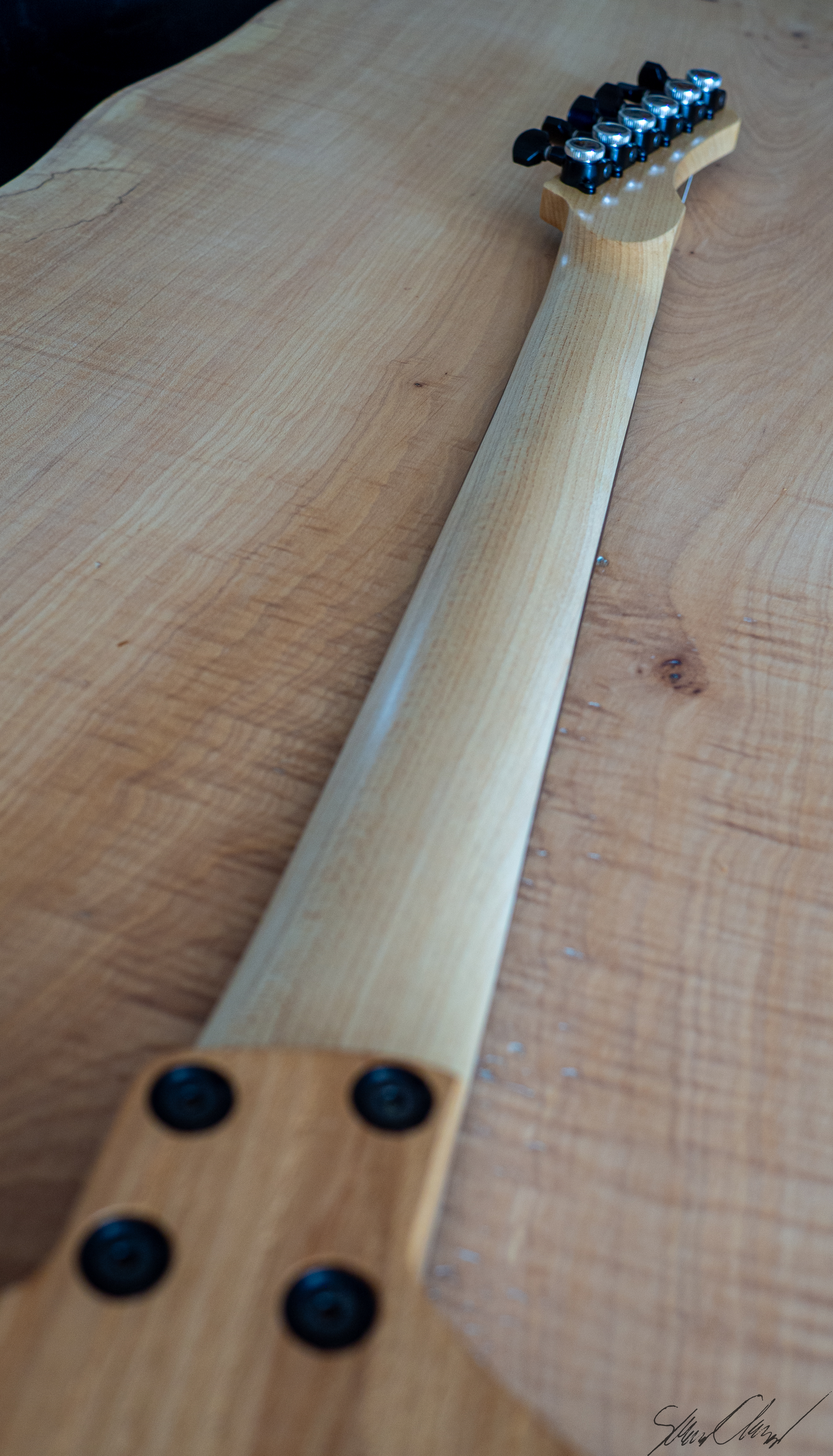 Quartersawn european sycamore neck